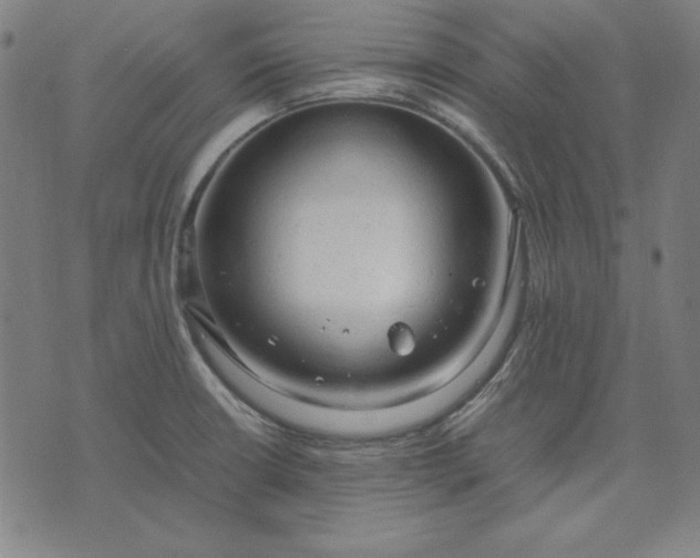 X0000072551426200607281637