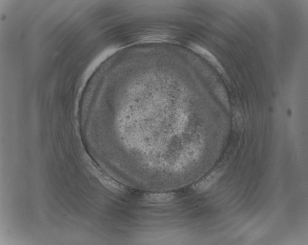 X0000072551427200607281637