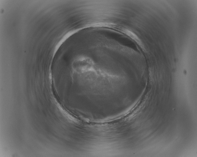 X0000072551428200607281637