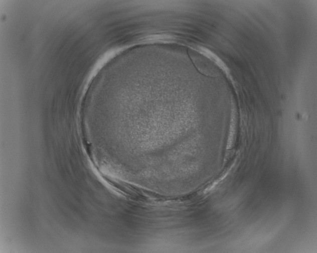 X0000072551429200607281637