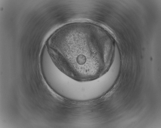 X0000072551430200607281637