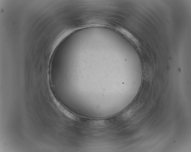 X0000072551431200607281637