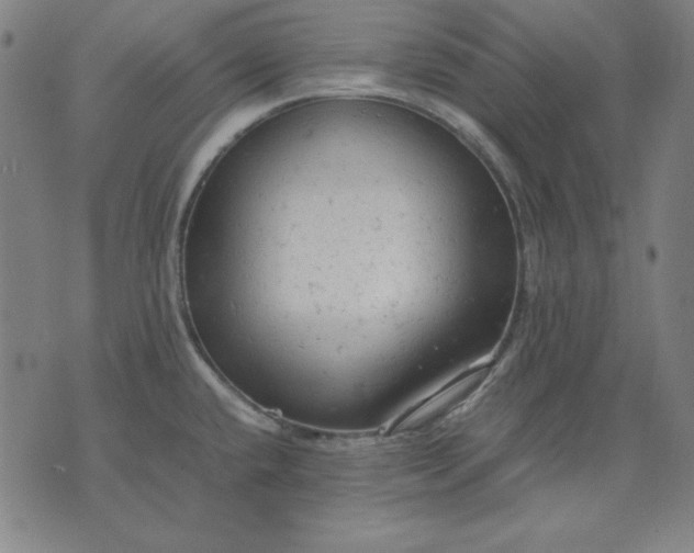 X0000072551432200607281637