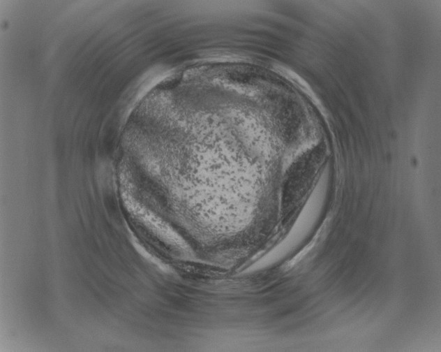 X0000072551433200607281637