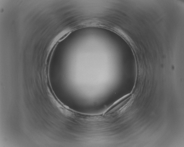 X0000072551434200607281637