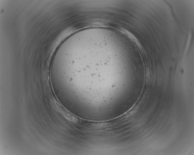 X0000072551435200607281638