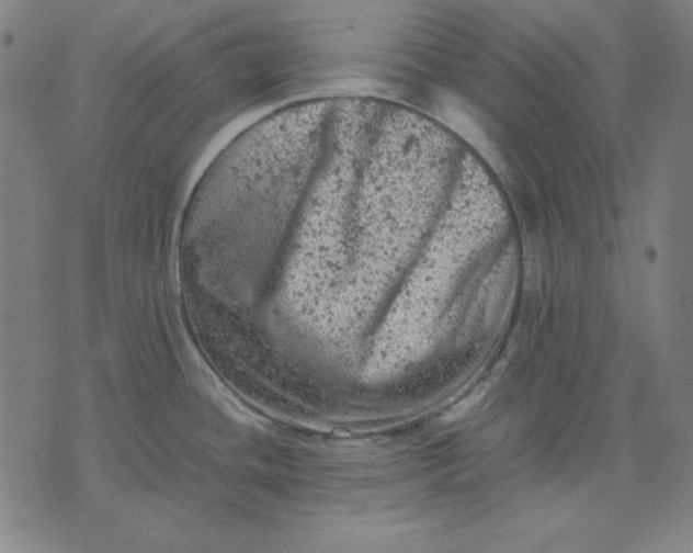 X0000072551436200607281638