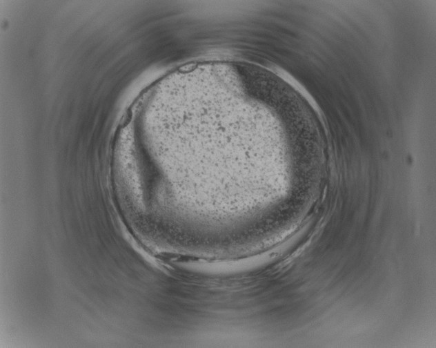 X0000072551437200607281638