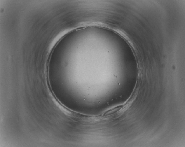 X0000072551438200607281638