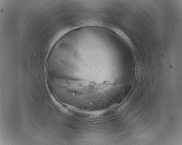 X0000072551439200607281638