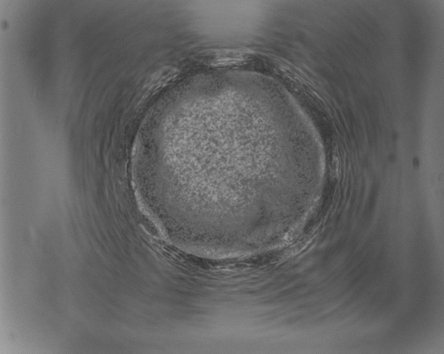 X0000072551441200607281637