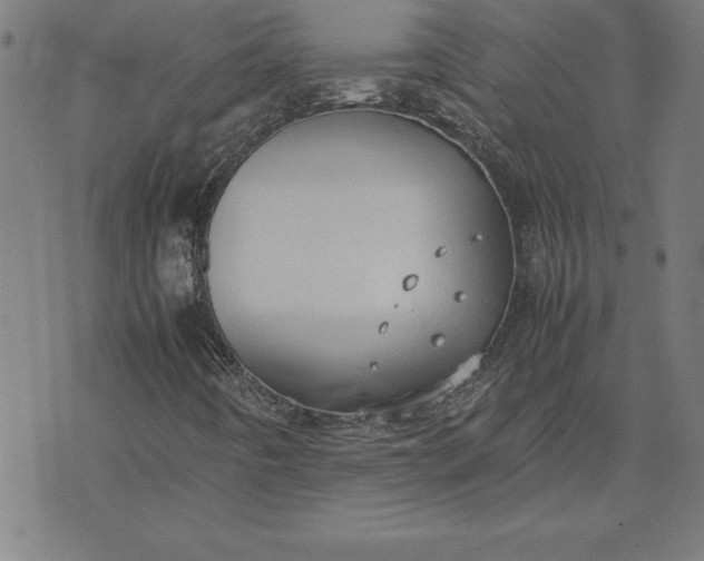 X0000072551442200607281637