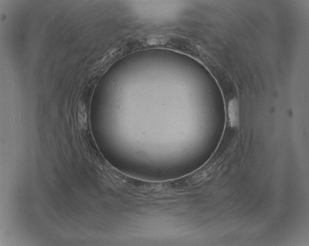 X0000072551443200607281637