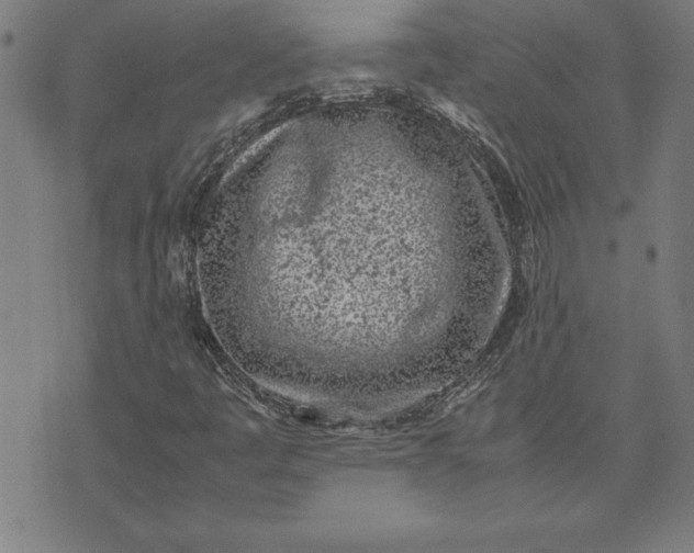 X0000072551445200607281637