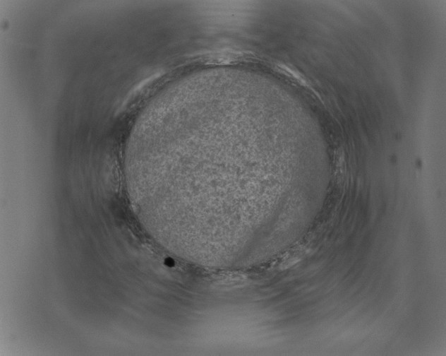 X0000072551446200607281637