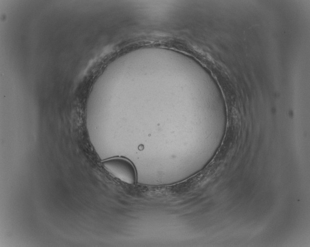 X0000072551447200607281637