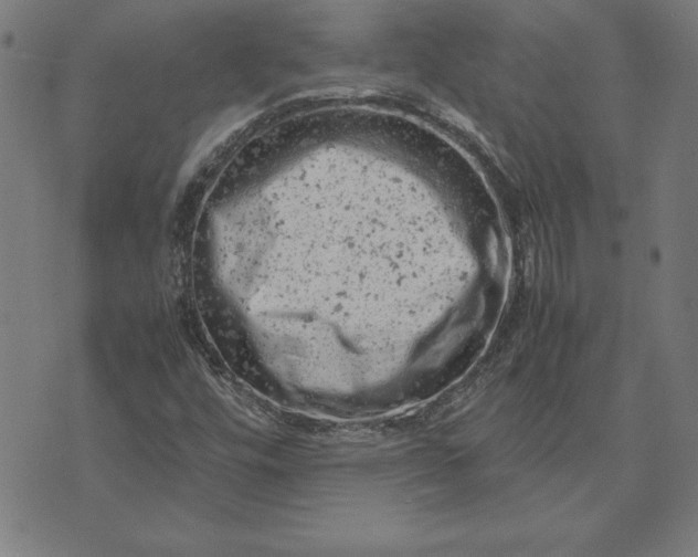 X0000072551448200607281637