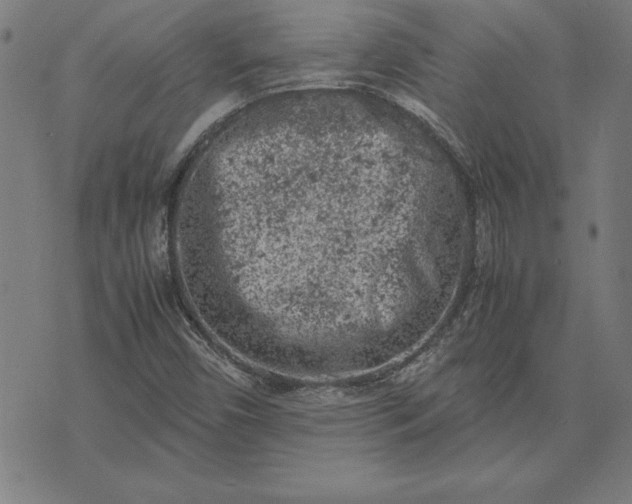 X0000072551450200607281637