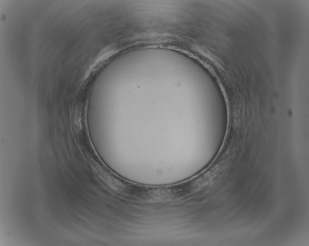 X0000072551451200607281637