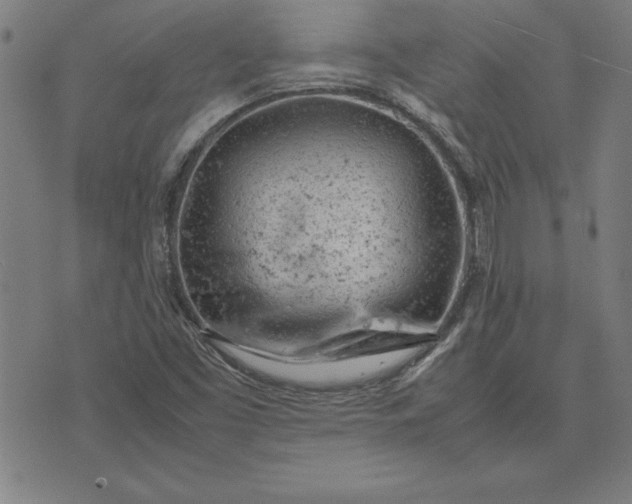 X0000072551453200607281637