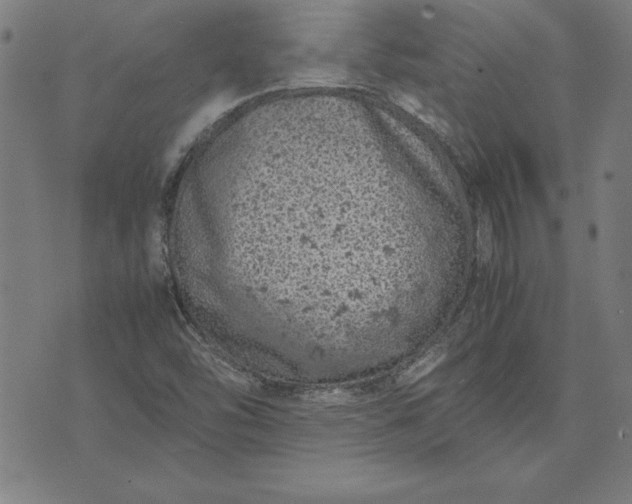 X0000072551454200607281637