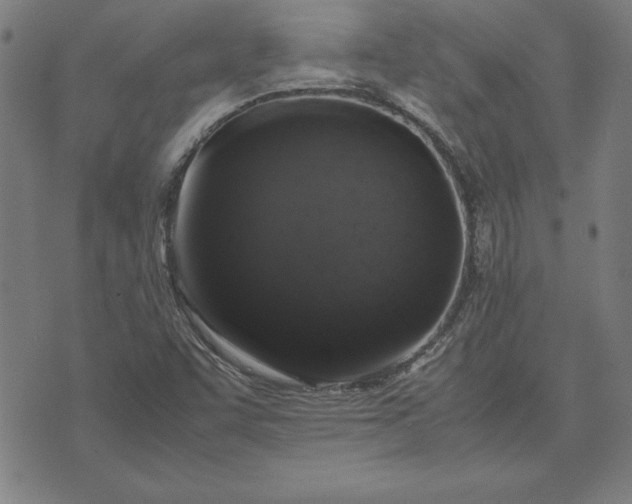 X0000072551455200607281637