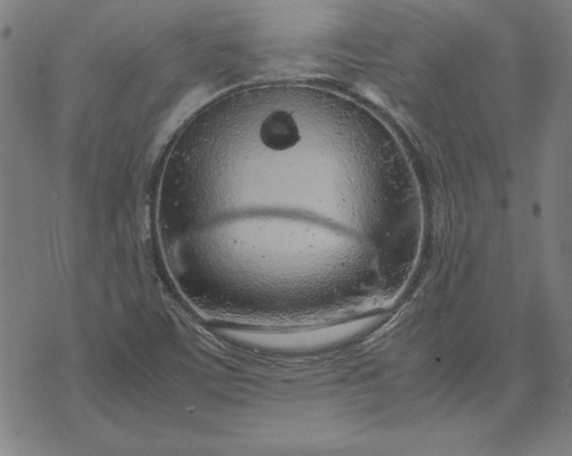 X0000072551459200607281637