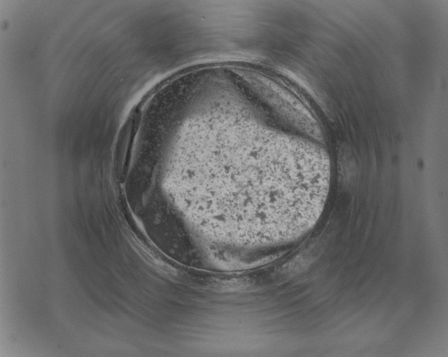 X0000072551460200607281637