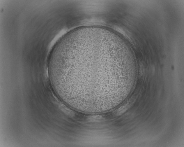 X0000072551462200607281636