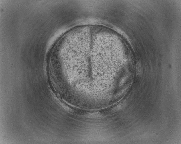 X0000072551464200607281636