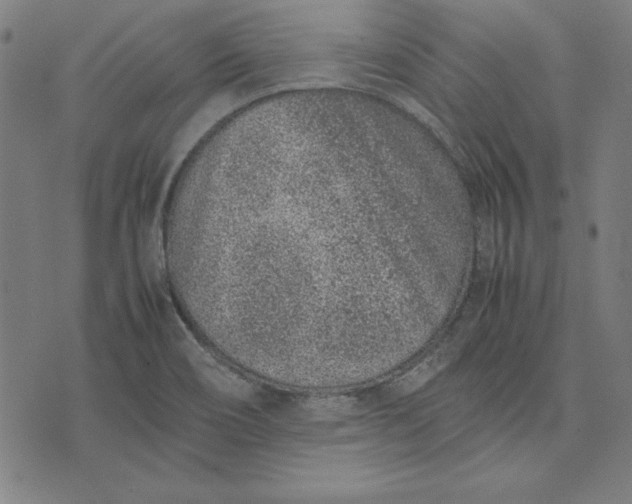 X0000072551466200607281636