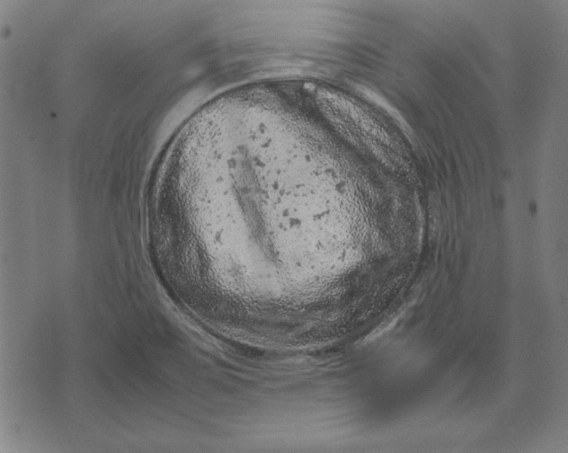 X0000072551467200607281636