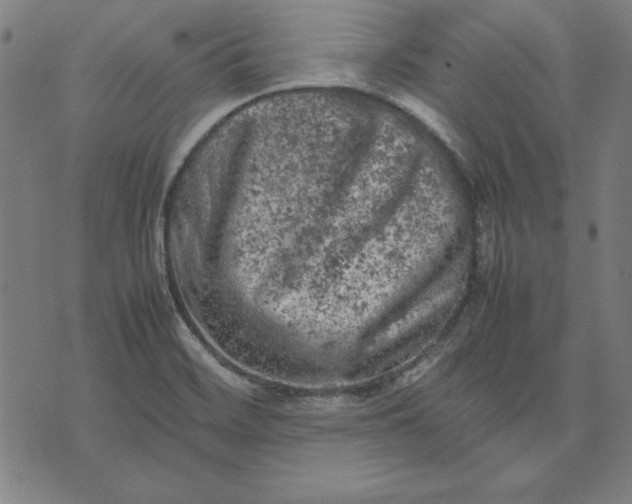 X0000072551468200607281636