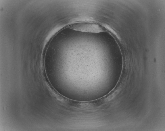 X0000072551469200607281636