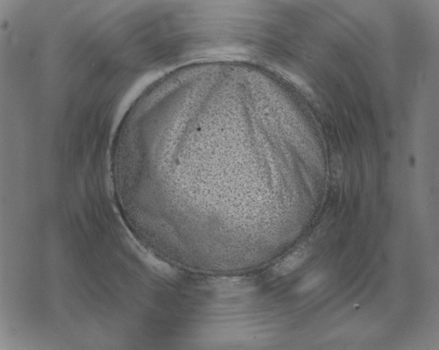 X0000072551470200607281636