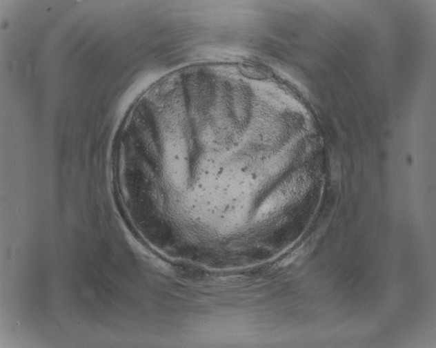 X0000072551471200607281636