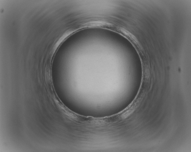 X0000072551473200607281636