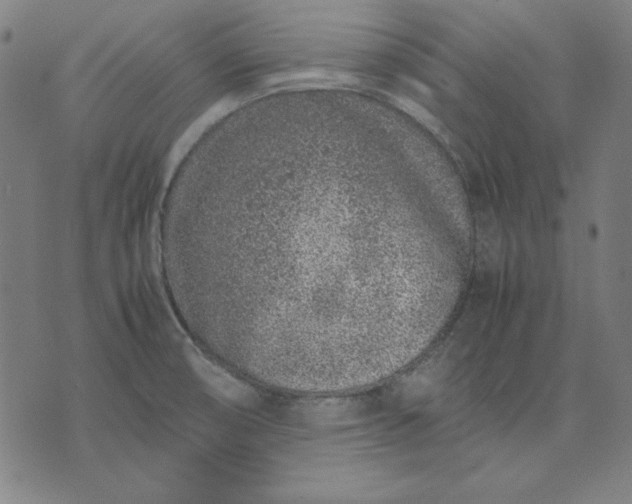 X0000072551474200607281636