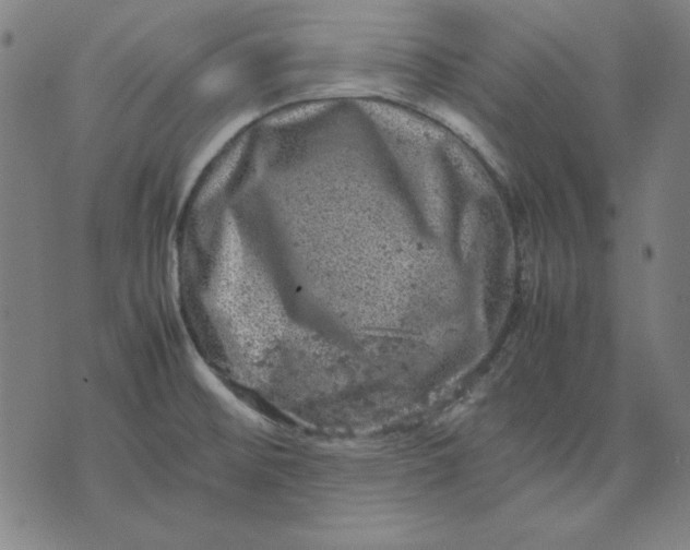 X0000072551476200607281636