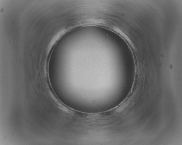 X0000072551477200607281636