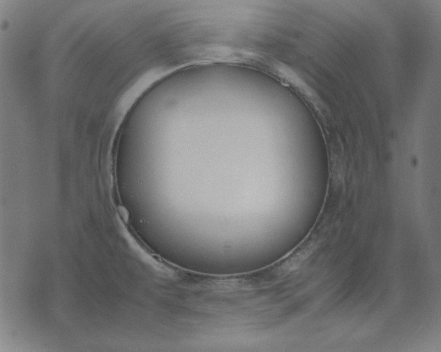 X0000072551479200607281636