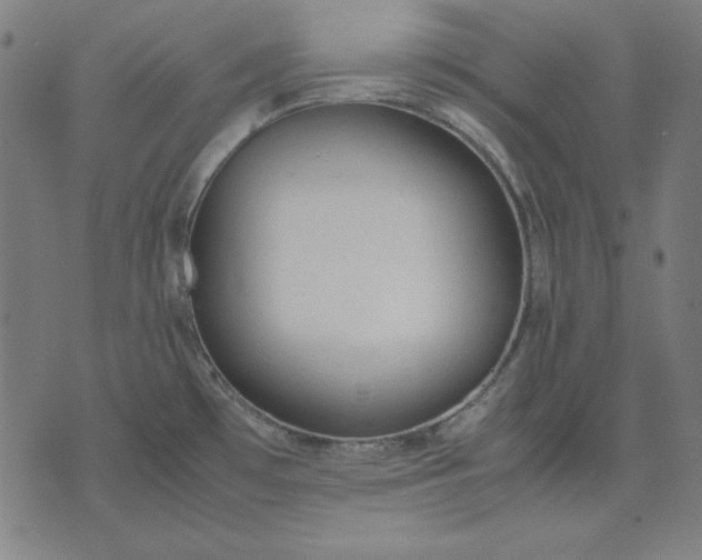 X0000072551481200607281636