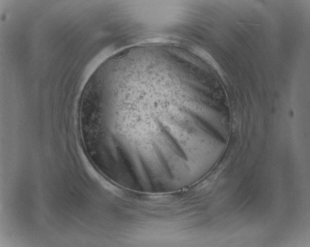 X0000072551483200607281636