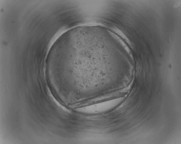 X0000072551484200607281636