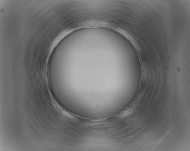 X0000072551486200607281636