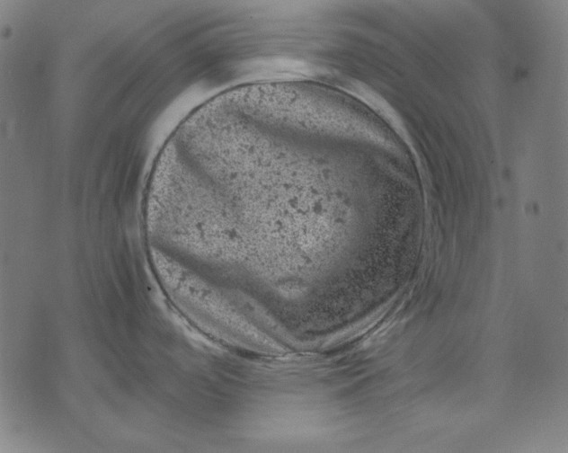 X0000072551488200607281636