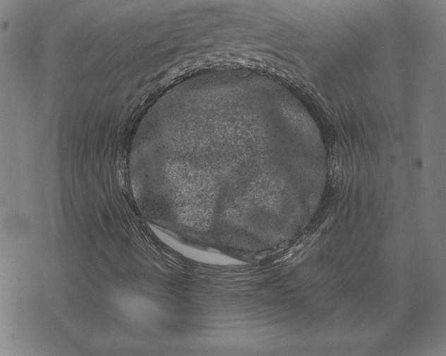 X0000072551490200607281635