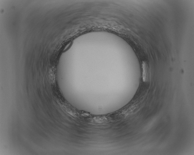 X0000072551491200607281635