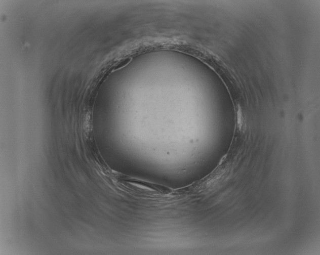 X0000072551492200607281635