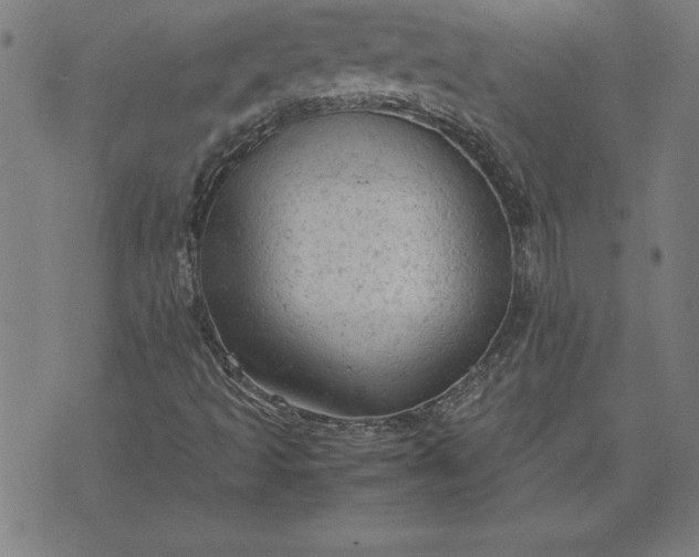 X0000072551493200607281635